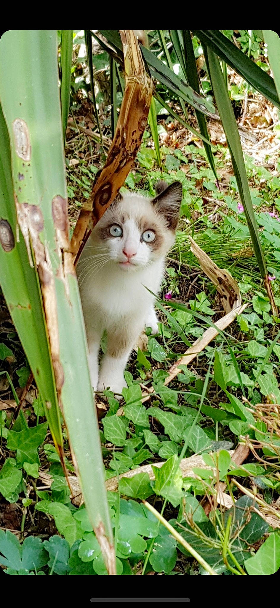 Rox a rejoint le concours — aidez-le/la à gagner de superbes lots !