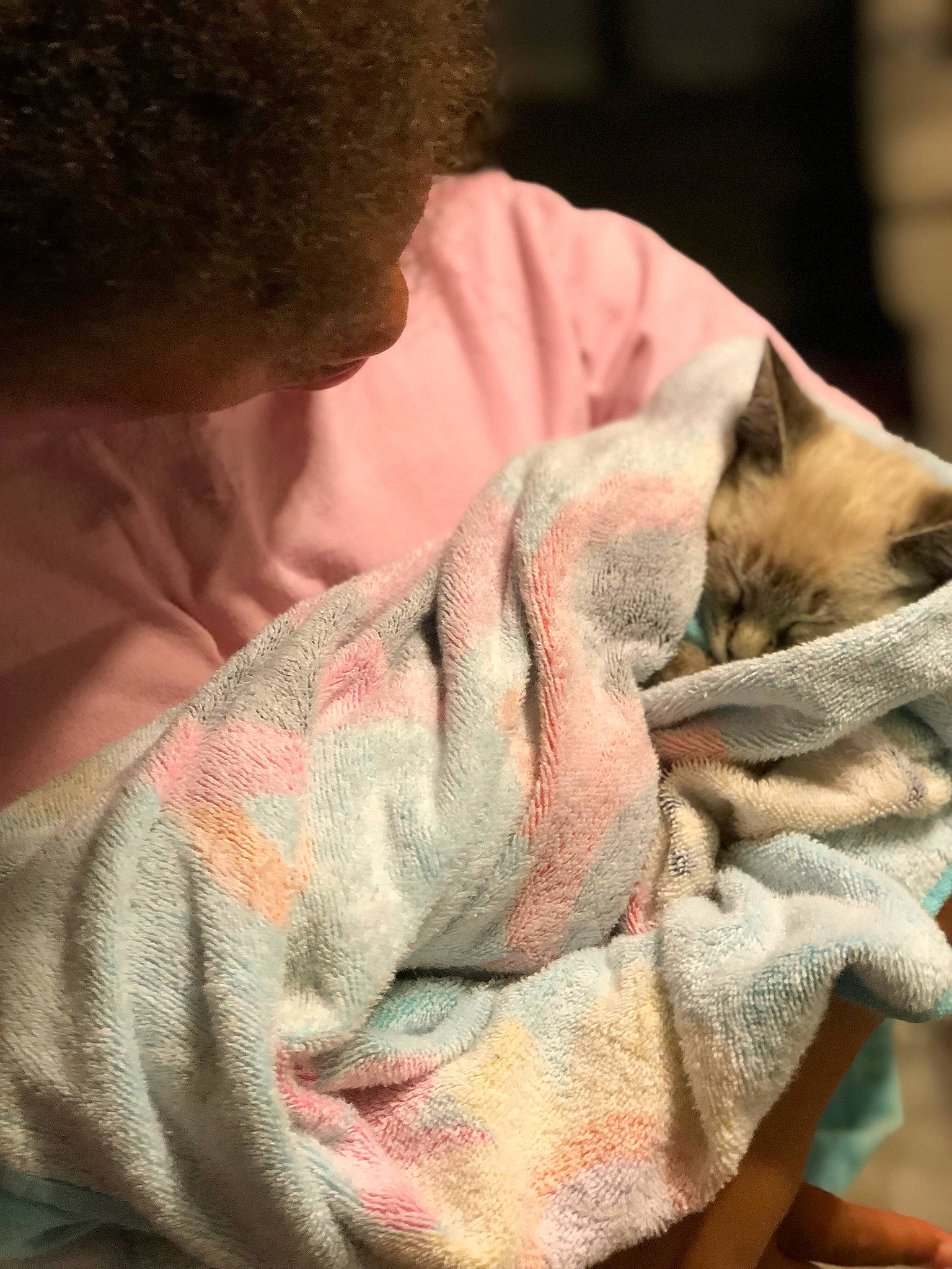 Easter joined the competition — help win amazing prizes! baby, canidae, carnivore, dog, dog_breed, fawn, italian_greyhound, whippet