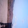 animal, black_dog, clouds, collar, curious, dog, evening, gravel_path, landscape, moon, mountain, nature, outdoor, pet, quiet, rocks, scenic, serene, sky, wilderness
