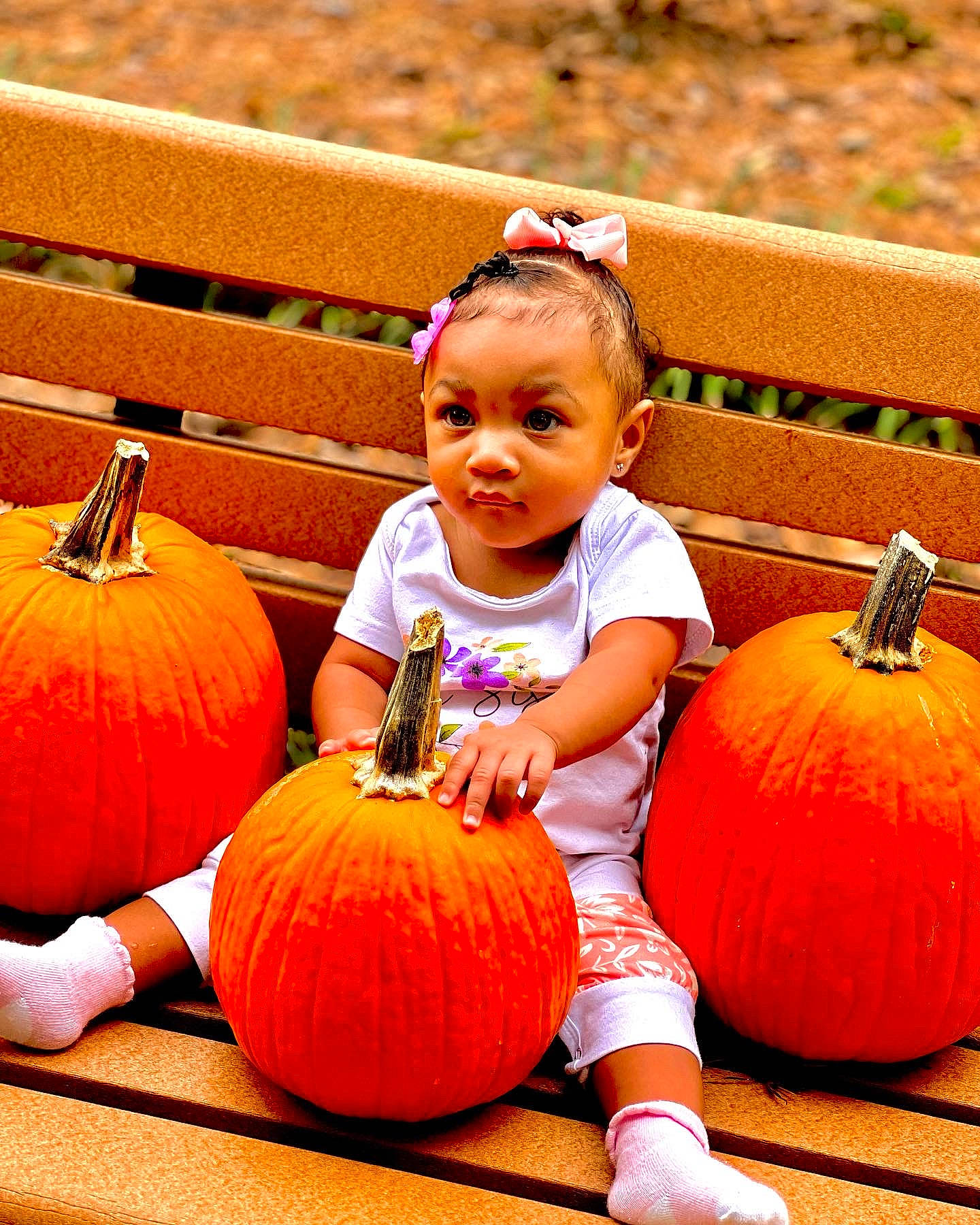 Heaven joined the competition — help win amazing prizes! beauty, calabaza, clothing, eye, facial_expression, gourd, happy, human_body, leaf, natural_foods, orange, person, photograph, plant, pumpkin, squash, toddler, vegetable, white, whole_food