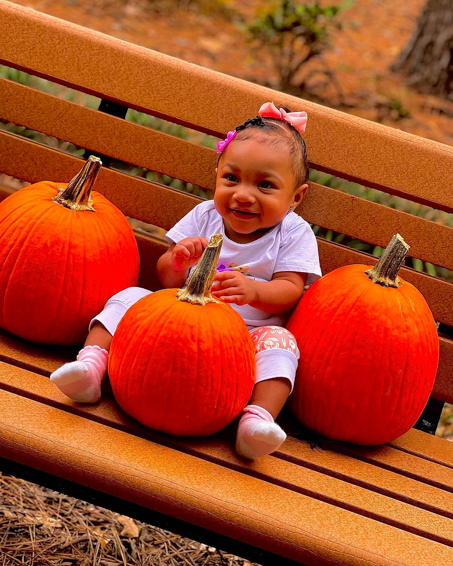 Heaven joined the competition — help win amazing prizes! calabaza, cucurbita, eye, face, facial_expression, happy, head, human_body, joy, leaf, leg, natural_foods, nature, orange, people_in_nature, person, plant, pumpkin, smile, squash