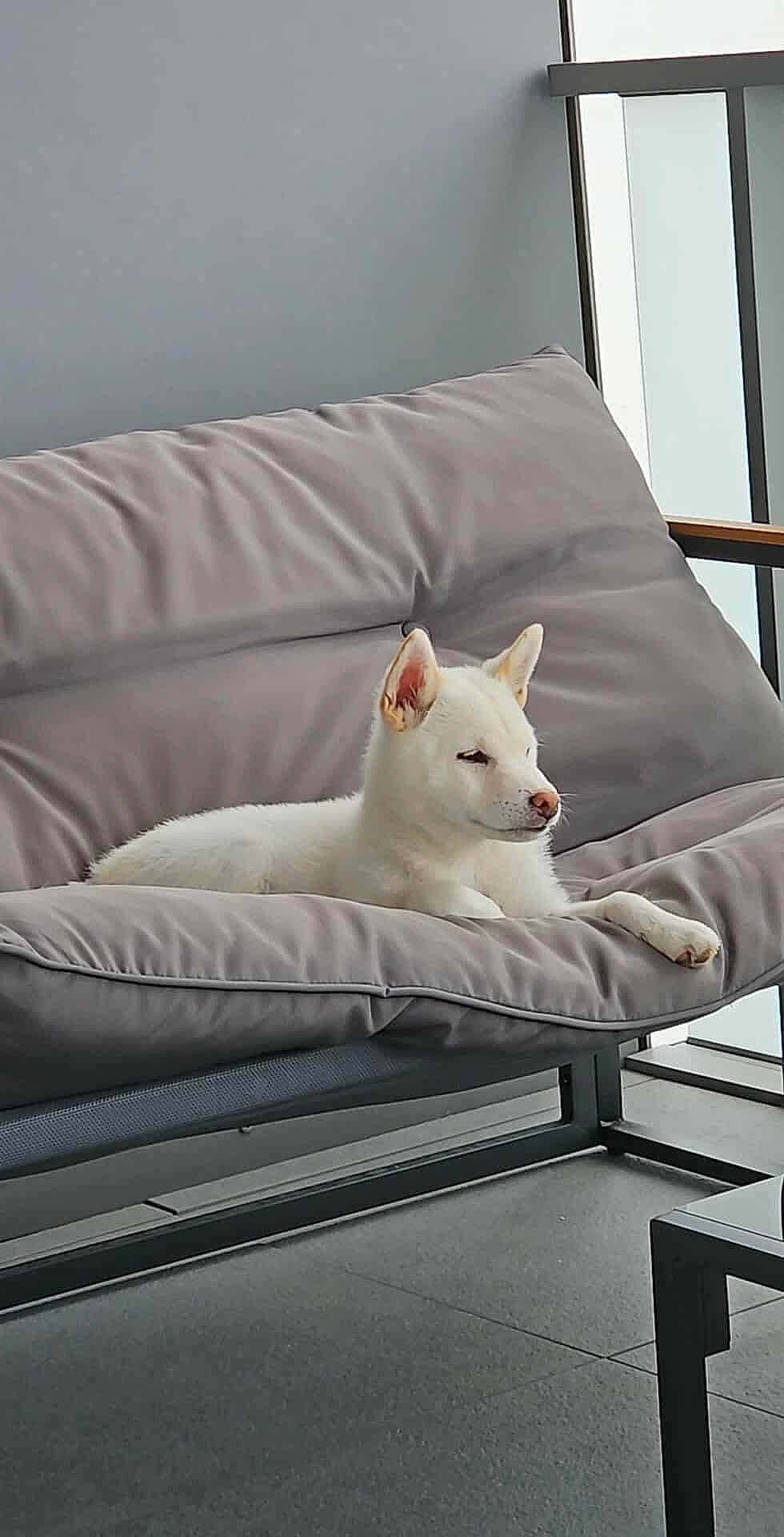 Aïko