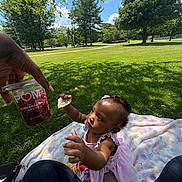 baby, blanket, child, curious, daylight, fruit_cup, grass, hand, nature, outdoor, park, picnic, pink_dress, playtime, pomegranate, reaching, summer, sunny, toddler, trees