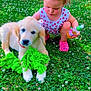 Ava a rejoint le concours — aidez-le/la à gagner de superbes lots ! toddler, puppy, dog, child, grass, toy, outdoor, greenery, flowers, playing, cute, summer, pet, nature, animal, curly_hair, pink_shoes, sitting, young, daylight