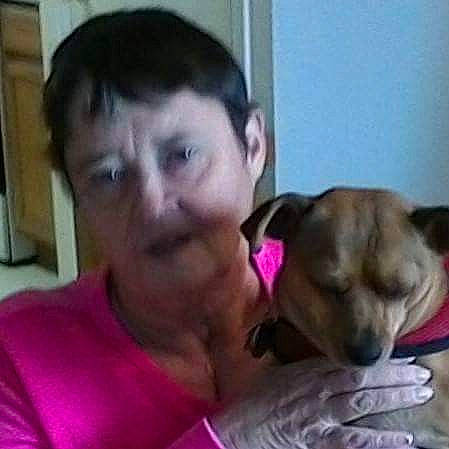 Sooner is registered to the contest to win money with this photo: canidae, carnivore, child, companion_dog, dog, dog_breed, ear, eye, mammal, mouth, nose, puggle, puppy, puppy_love, snout, sporting_group, vertebrate