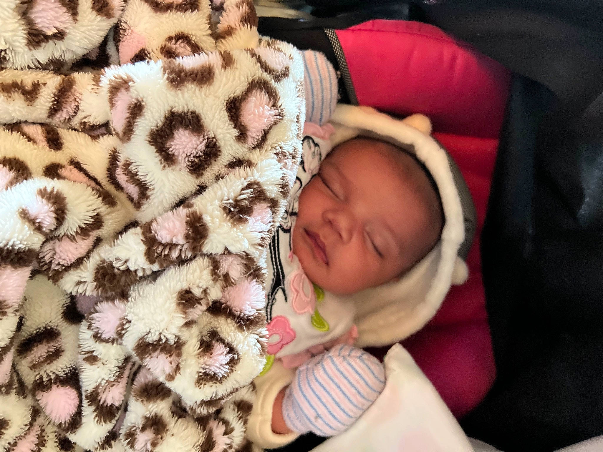 Leilani is registered to the contest to win money with this photo: baby, baby_sleeping, baby_toddler_clothing, bedtime, cheek, child, comfort, eyelash, finger, fur, hand, head, linens, nail, pattern, person, plant, skin, textile, thumb