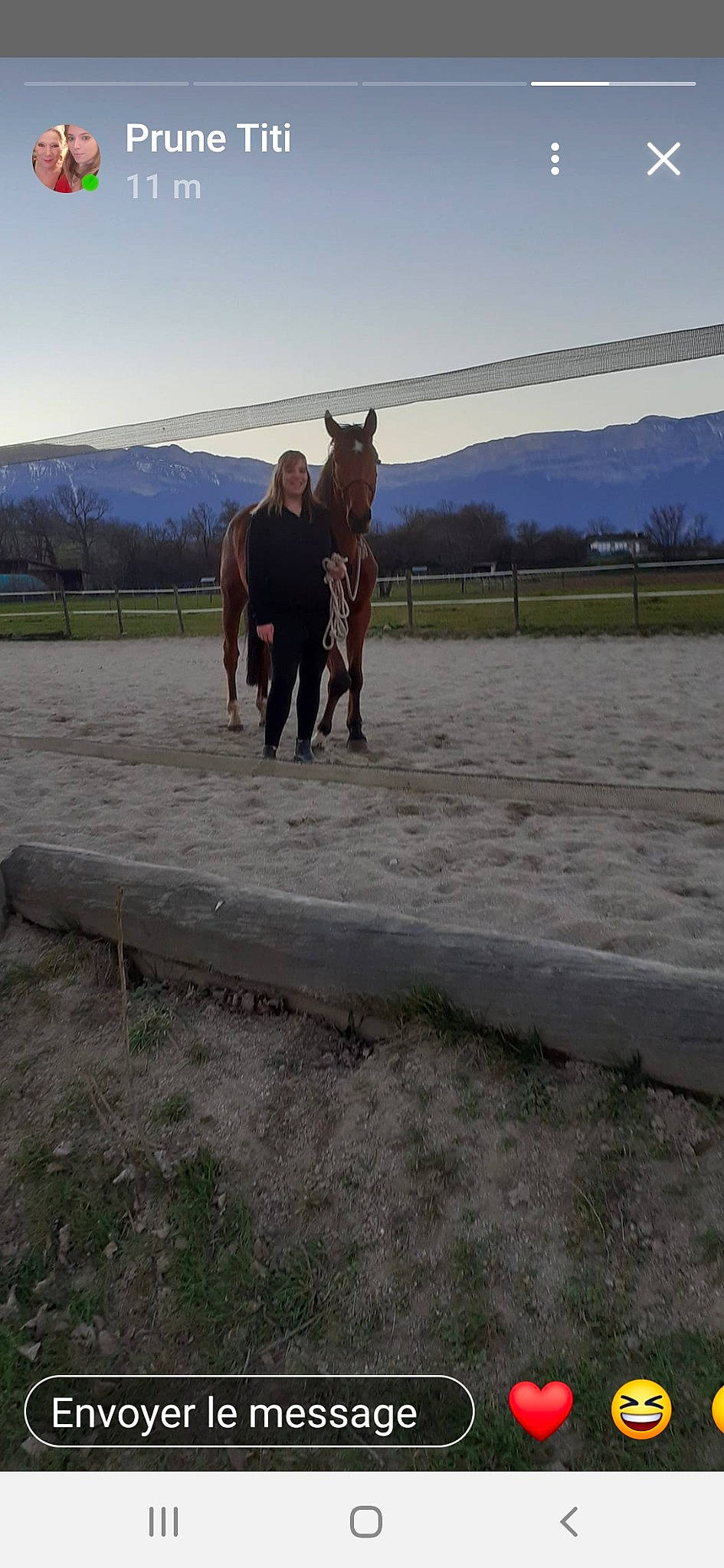 Baltik participe au concours pour gagner de l'argent avec cette photo : ecoregion, farm, horse, horse_supplies, landscape, livestock, mane, mare, mustang_horse, pack_animal, pasture, ranch, rein, sky, stallion, working_animal