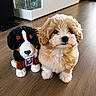 puppy, dog, plush_toy, stuffed_animal, floor, wooden_floor, indoor, cute, fluffy, pet, animal, brown, white, soft, toy, friend, companion, closeup, portrait, adorable