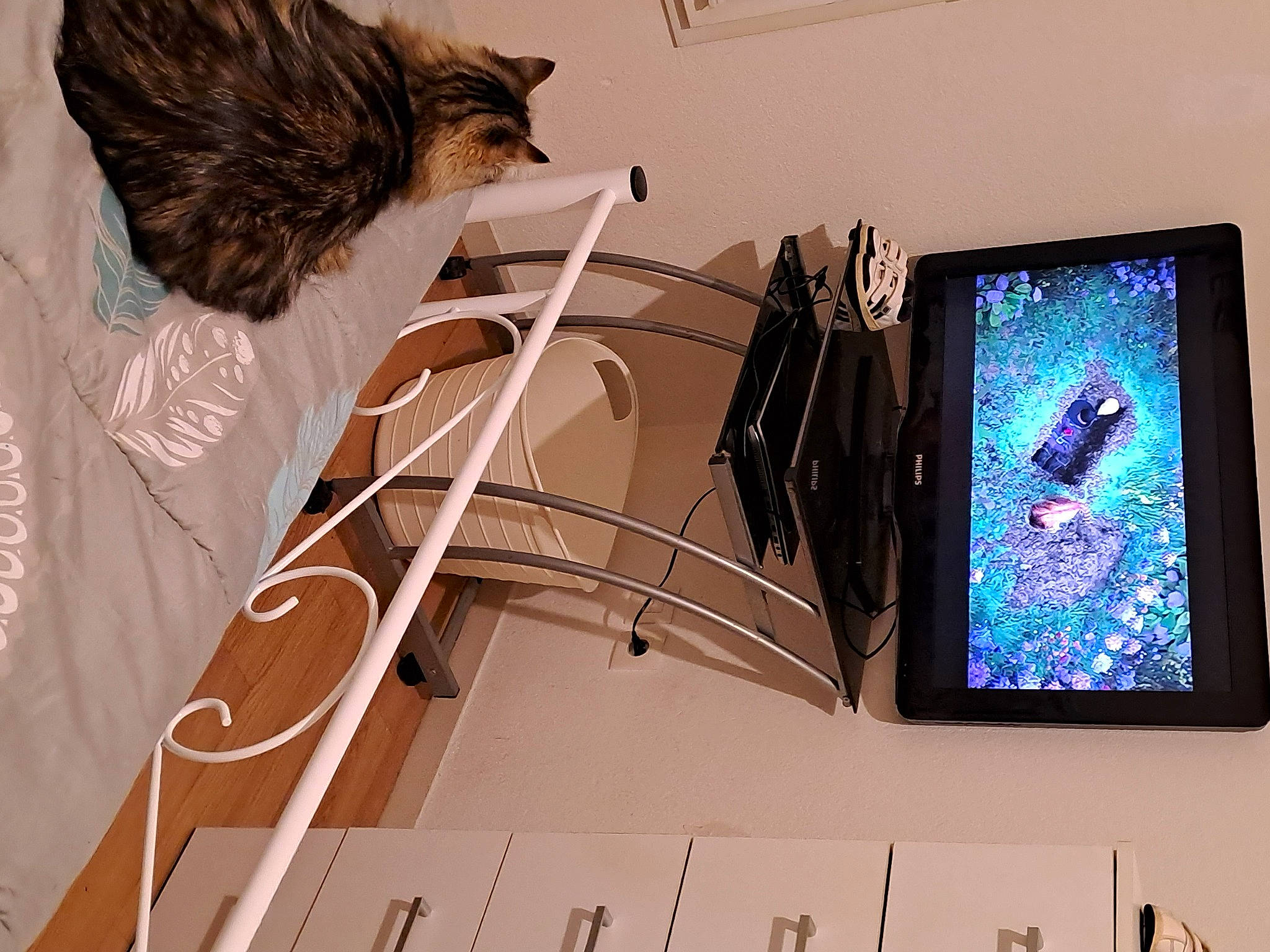 Réglisse participe au concours pour gagner de l'argent avec cette photo : art, communication_device, display_device, electric_blue, eyewear, fashion_accessory, fashion_design, feather, flat_panel_display, font, fur, gadget, graphic_design, multimedia, output_device, room, tablet_computer, tail, visual_arts, wing