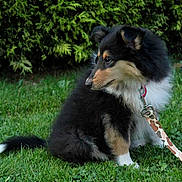 Iloo participe au concours pour gagner de l'argent avec cette photo :