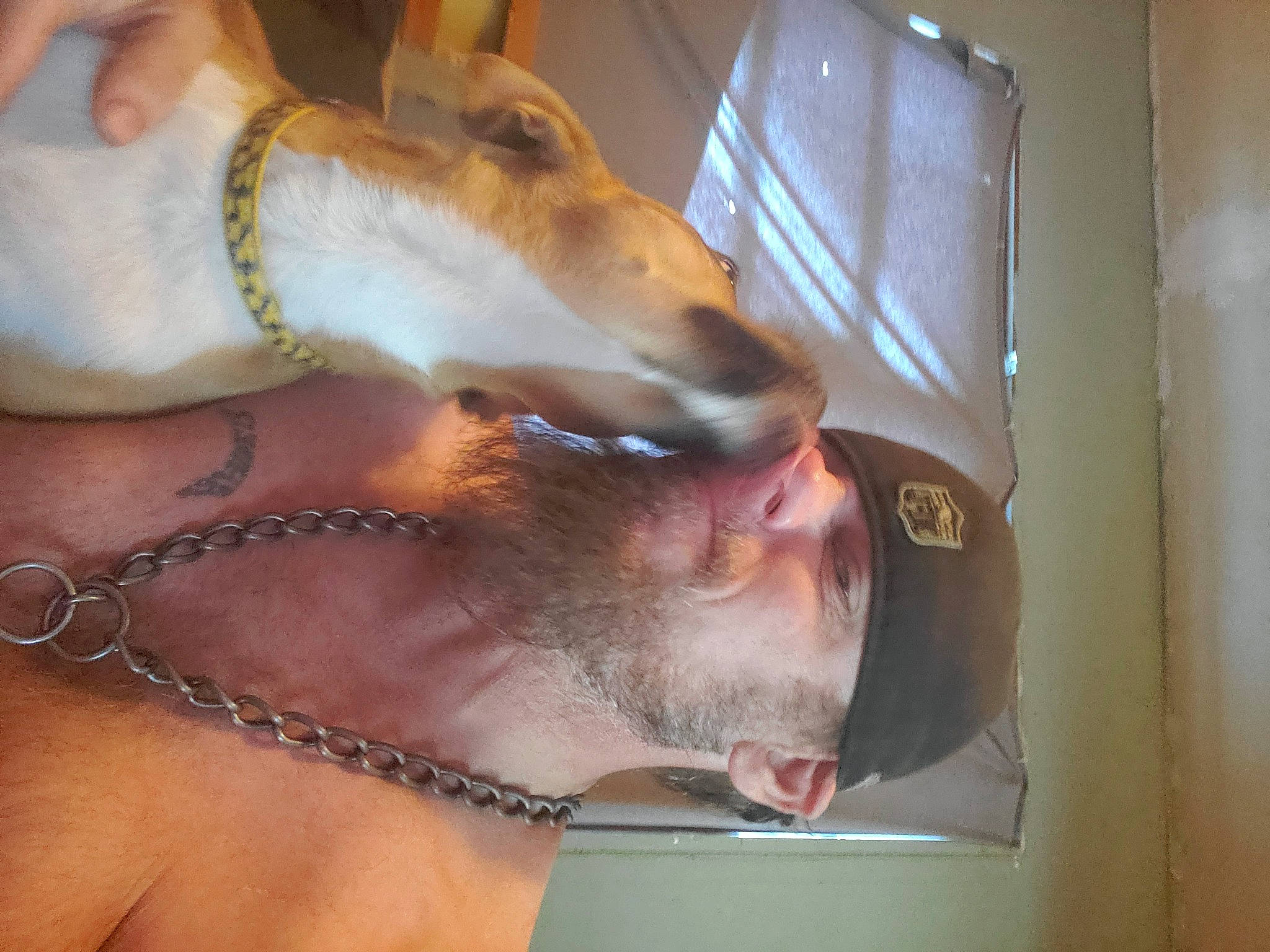 Punkin joined the competition — help win amazing prizes! abdomen, beard, chest, companion_dog, ear, event, eyebrow, eyelash, eyewear, facial_hair, fun, fur, gesture, jaw, jewellery, moustache, neck, snout, throat, trunk