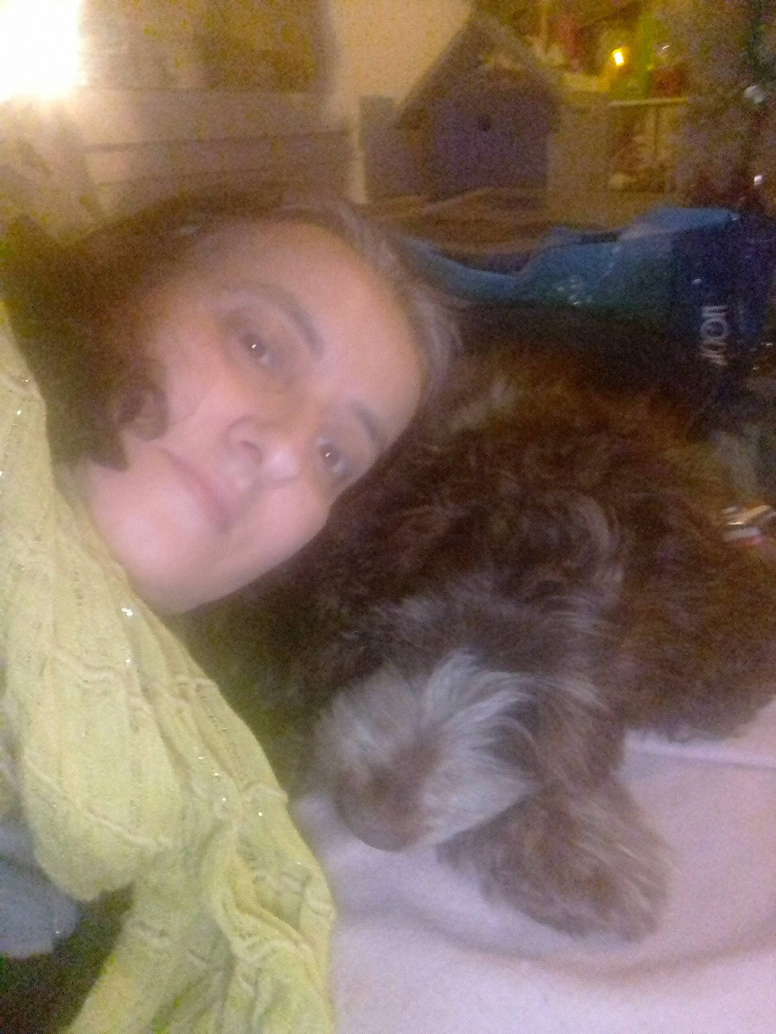 Dagobert participe au concours pour gagner de l'argent avec cette photo : black_hair, brown_hair, carnivore, child, comfort, companion_dog, dog_breed, ear, eyebrow, felidae, fun, fur, hair_coloring, iris, liver, long_hair, nose, small_to_medium_sized_cats, tail, whiskers