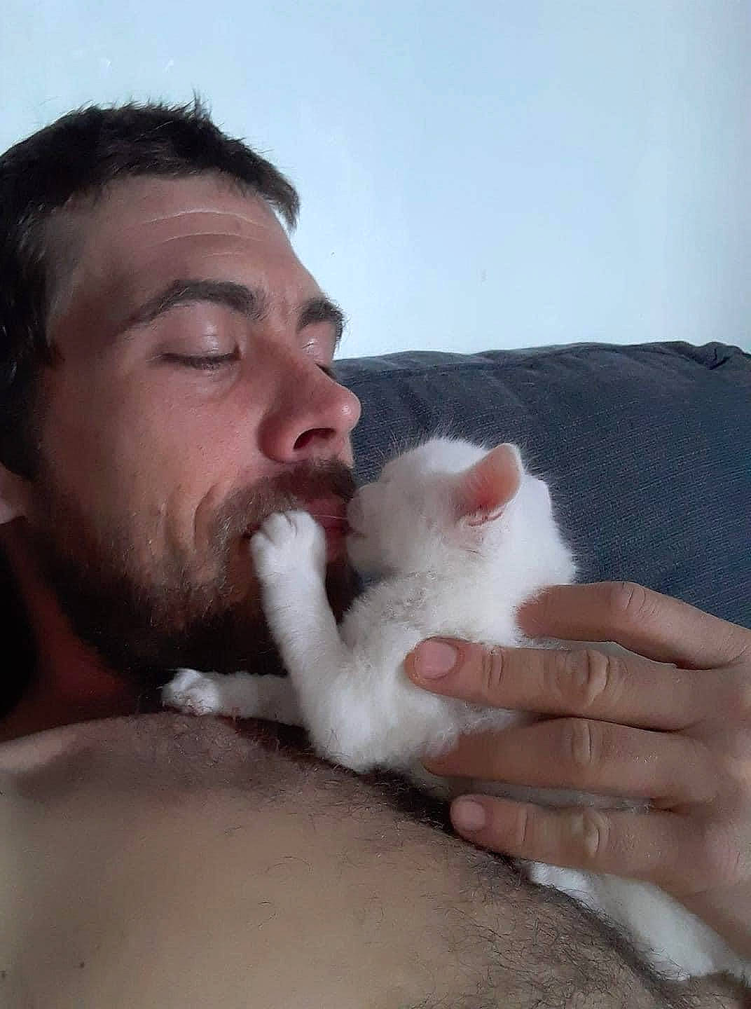 Chance participe au concours pour gagner de l'argent avec cette photo : cat, facial_hair, felidae, fur, hand, mouth, nail, nose, small_to_medium_sized_cats, whiskers