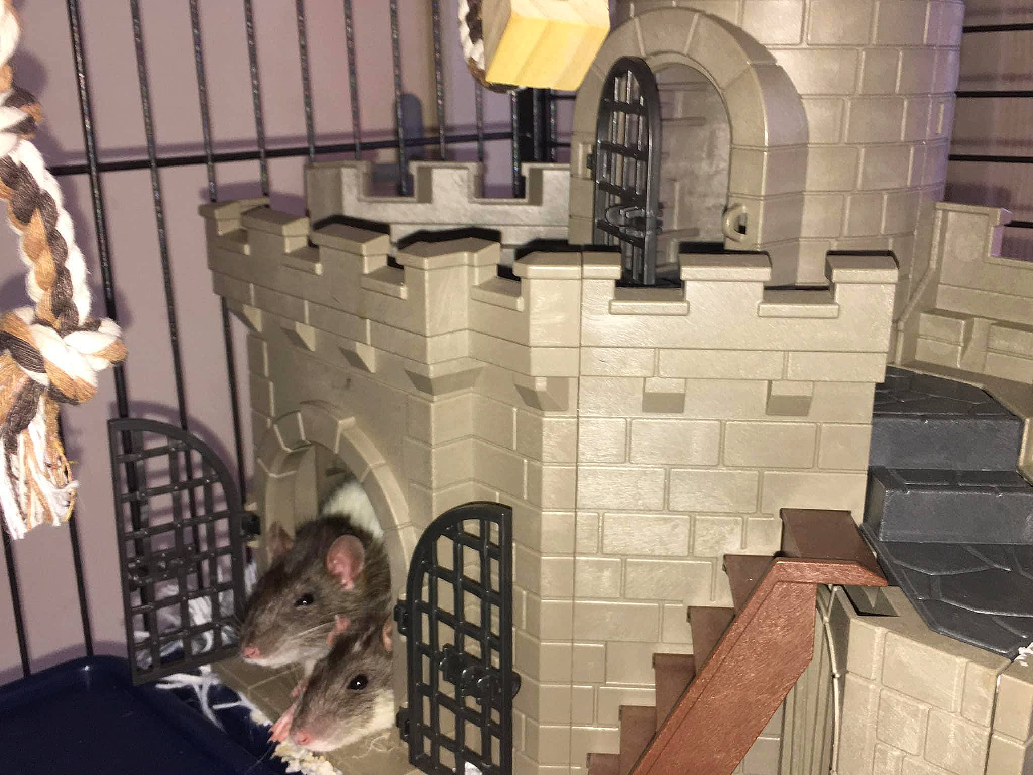 Thelma Et Louise participe au concours pour gagner de l'argent avec cette photo : arch, architecture, building, handrail, interior_design, iron, metal, room