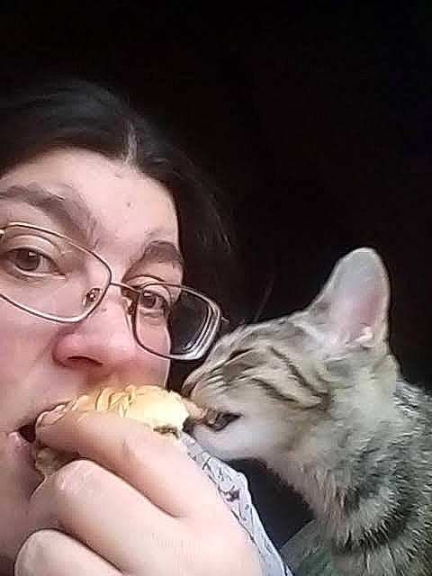 Striker joined the competition — help win amazing prizes! carnivore, ear, eyebrow, eyelash, eyewear, fawn, felidae, finger, food_craving, gesture, glasses, jaw, mouth, neck, nose, organ, skin, small_to_medium_sized_cats, vision_care, whiskers