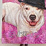dog, pet, white_dog, black_hat, portrait, painting, artwork, pink_background, colorful, smiling, open_mouth, canine, animal, custom_portrait, watercolor, wall_art, phone_screenshot, shopping_page, indoor, humorous