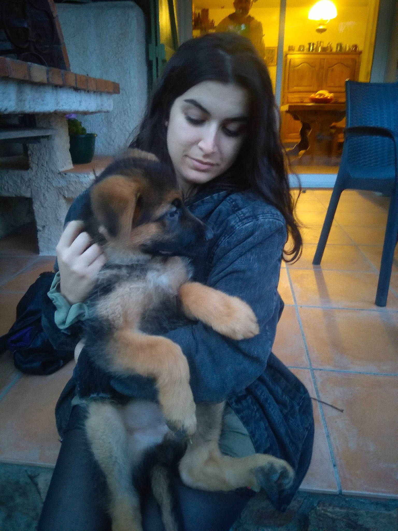 Ragnark a rejoint le concours — aidez-le/la à gagner de superbes lots ! canidae, carnivore, chair, companion_dog, dog, dog_breed, fawn, flooring, fun, fur, guard_dog, happy, human_leg, lap, leisure, long_hair, sitting, snout, sporting_group, working_dog