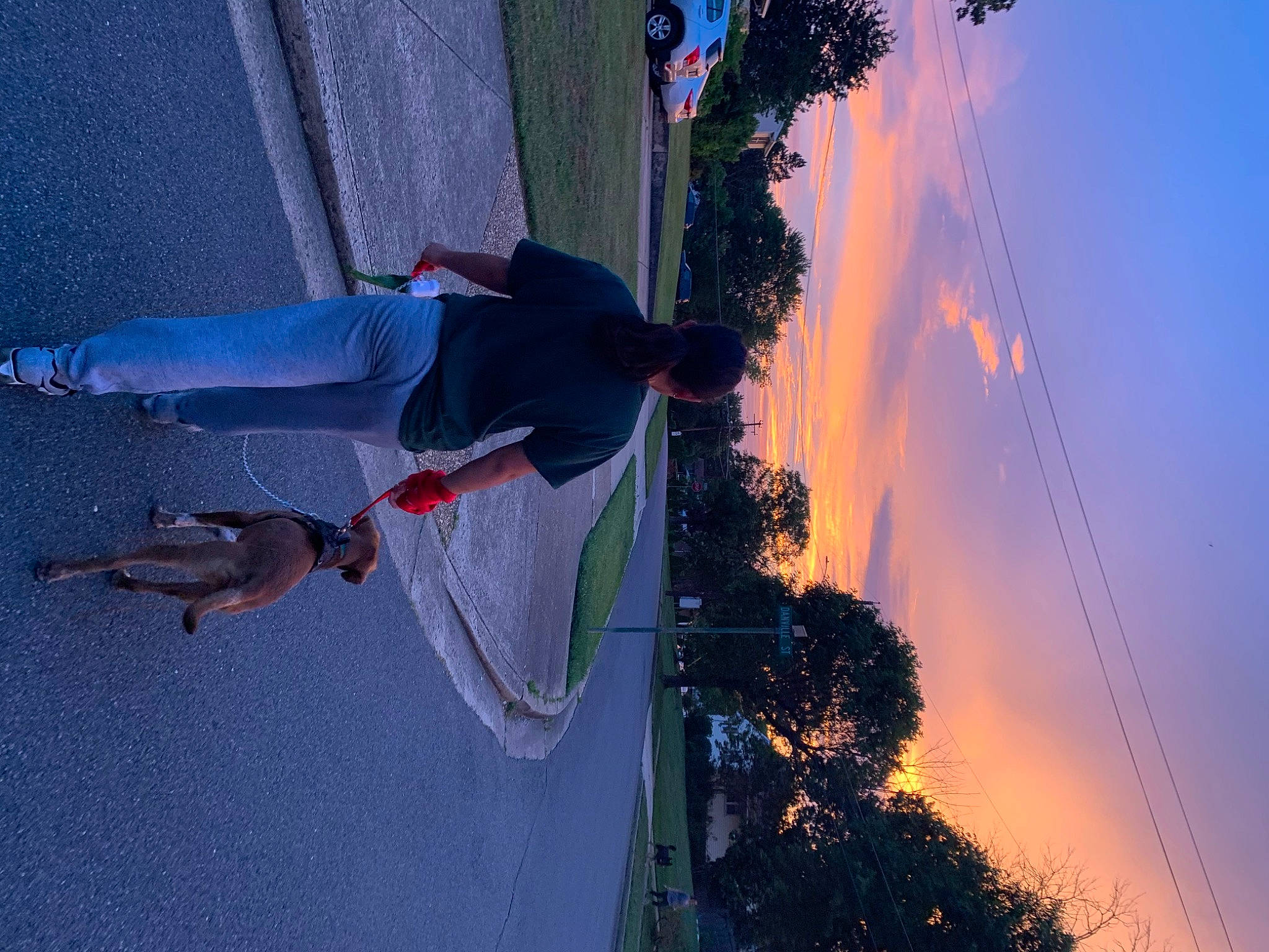 Champion joined the competition — help win amazing prizes! cloud, photography, reflection, shadow, sky, tree, water, world