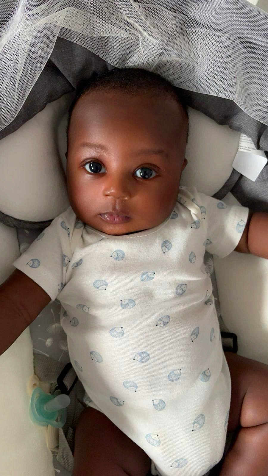 Alpha participe au concours pour gagner de l'argent avec cette photo : baby, baby_seat, child, closeup, comfort, cushion, cute, expression, face, hedgehog_pattern, indoors, infant, lying_down, mesh, newborn, onesie, pacifier, portrait, skin, soft_fabric
