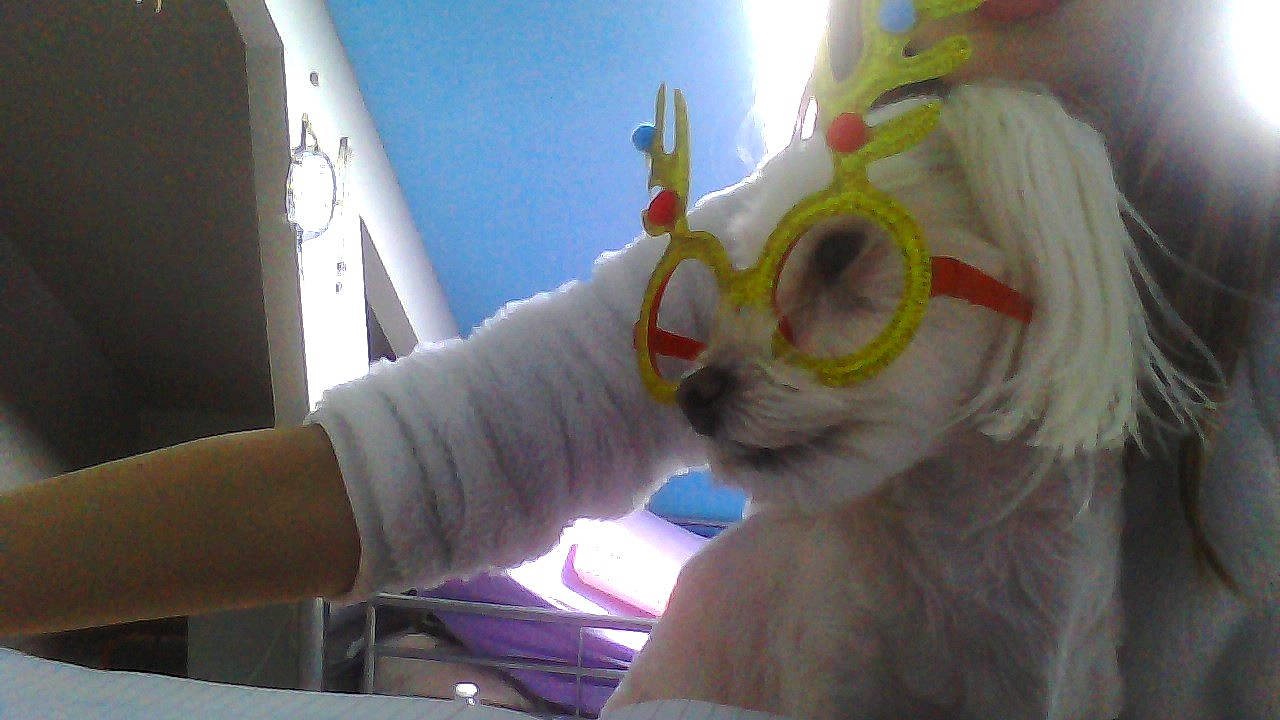 Black a rejoint le concours — aidez-le/la à gagner de superbes lots ! costume, ear