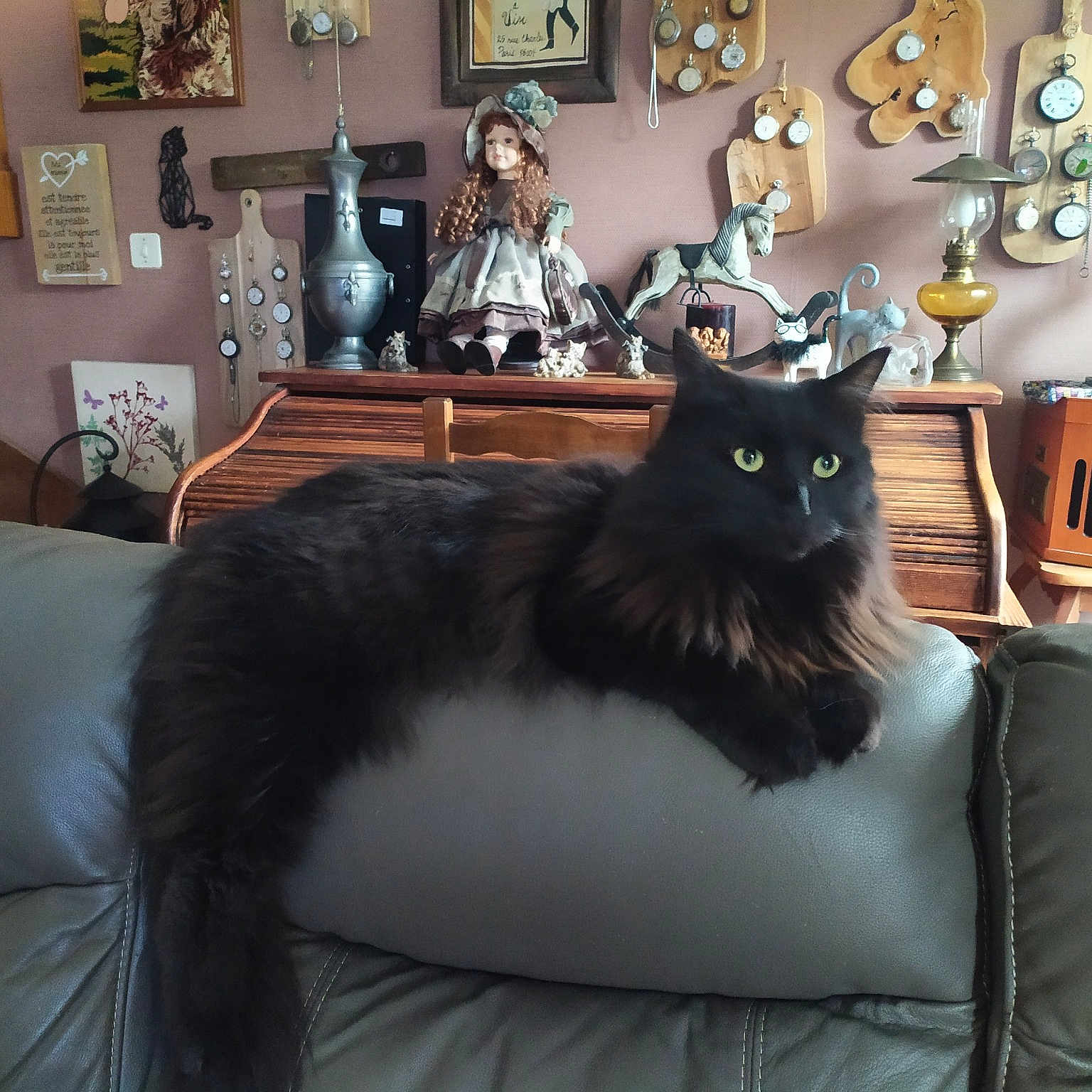 Archibald