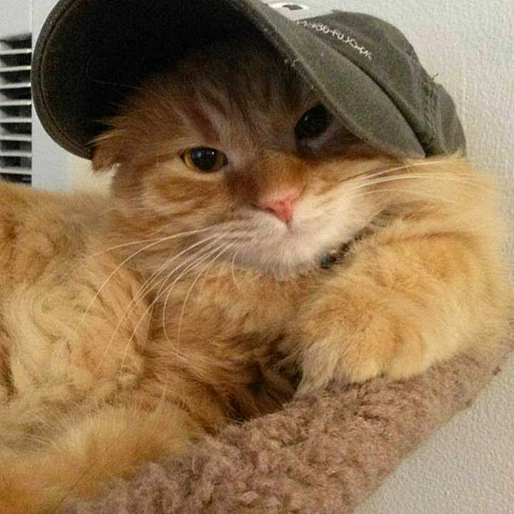 Simba Riley
