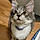 Nixy