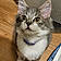Nixy