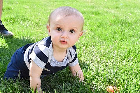 Owen joined the competition — help win amazing prizes! baby, baby_toddler_clothing, child, crawling, face, finger, fun, grass, grass_family, grassland, happy, leaf, leisure, people_in_nature, person, plant, skin, summer, toddler, tree