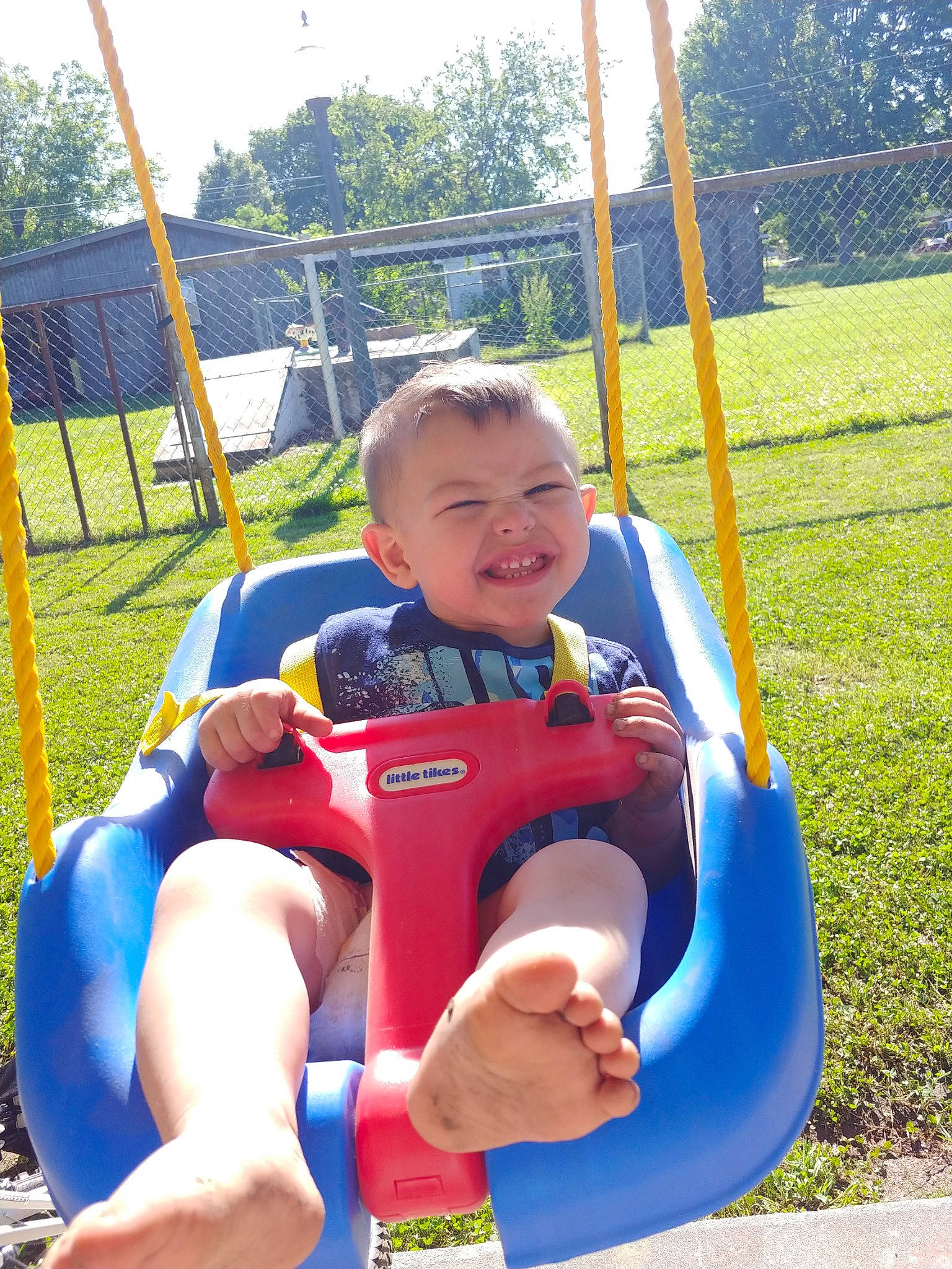 Maverick is registered to the contest to win money with this photo: child, fun, joy, leisure, outdoor_play_equipment, person, play, playground, public_space, recreation, summer, swing, toddler, vacation