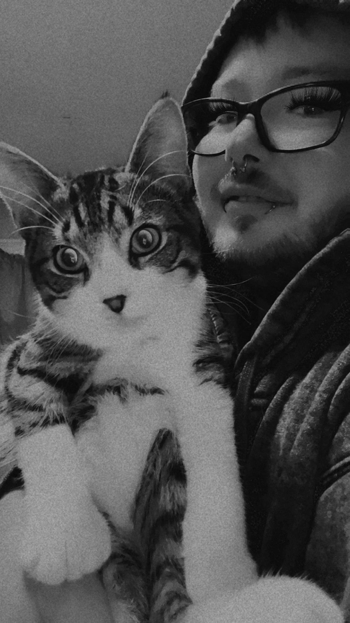Prince is registered to the contest to win money with this photo: black_and_white, carnivore, cat, comfort, cool, domestic_short_haired_cat, ear, eyewear, felidae, fur, gesture, glasses, monochrome, monochrome_photography, selfie, small_to_medium_sized_cats, snout, style, vision_care, whiskers