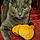 Sekhmet