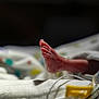 Zenalla is registered to the contest to win money with this photo: newborn, baby, foot, hospital, medical_tubing, blanket, fragile, infant, closeup, healthcare, neonatal, tender, skin, small, cute, patient, lying_down, soft, child, life