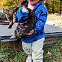 child, toddler, cat, tabby_cat, blue_fleece, skull_prints, autumn, fall_foliage, outdoor, grass, leaves, smile, happy, cute, playful, pants, sneakers, nature, daylight, person
