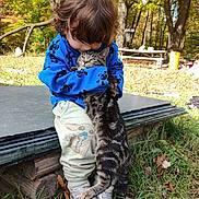 Bella joined the competition — help win amazing prizes! child, cat, hugging, outdoor, autumn, trees, grass, sneakers, blue_sweater, tabby_cat, nature, picnic_table, childhood, affection, pet, fall_leaves, casual_clothing, daylight, emotion, toddler