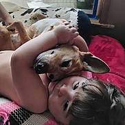 Bella is registered to the contest to win money with this photo: child, dog, hug, blanket, indoor, window, curtain, face, pet, cozy, love, comfort, lying_down, warm_light, brown_hair, animal, toddler, cute, resting, intimate
