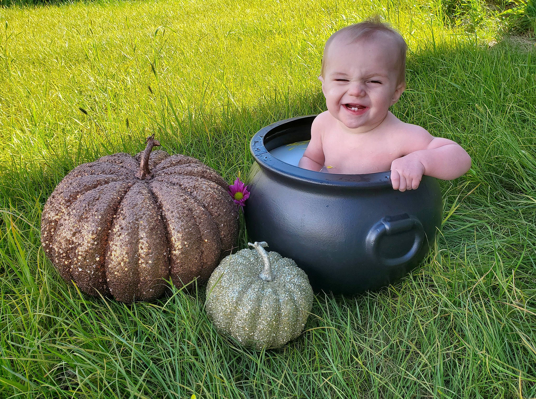Caiden Ennis is registered to the contest to win money with this photo: calabaza, child, cucurbita, gourd, grass, joy, person, plant, pumpkin, squash, toddler, vegetable, winter_squash