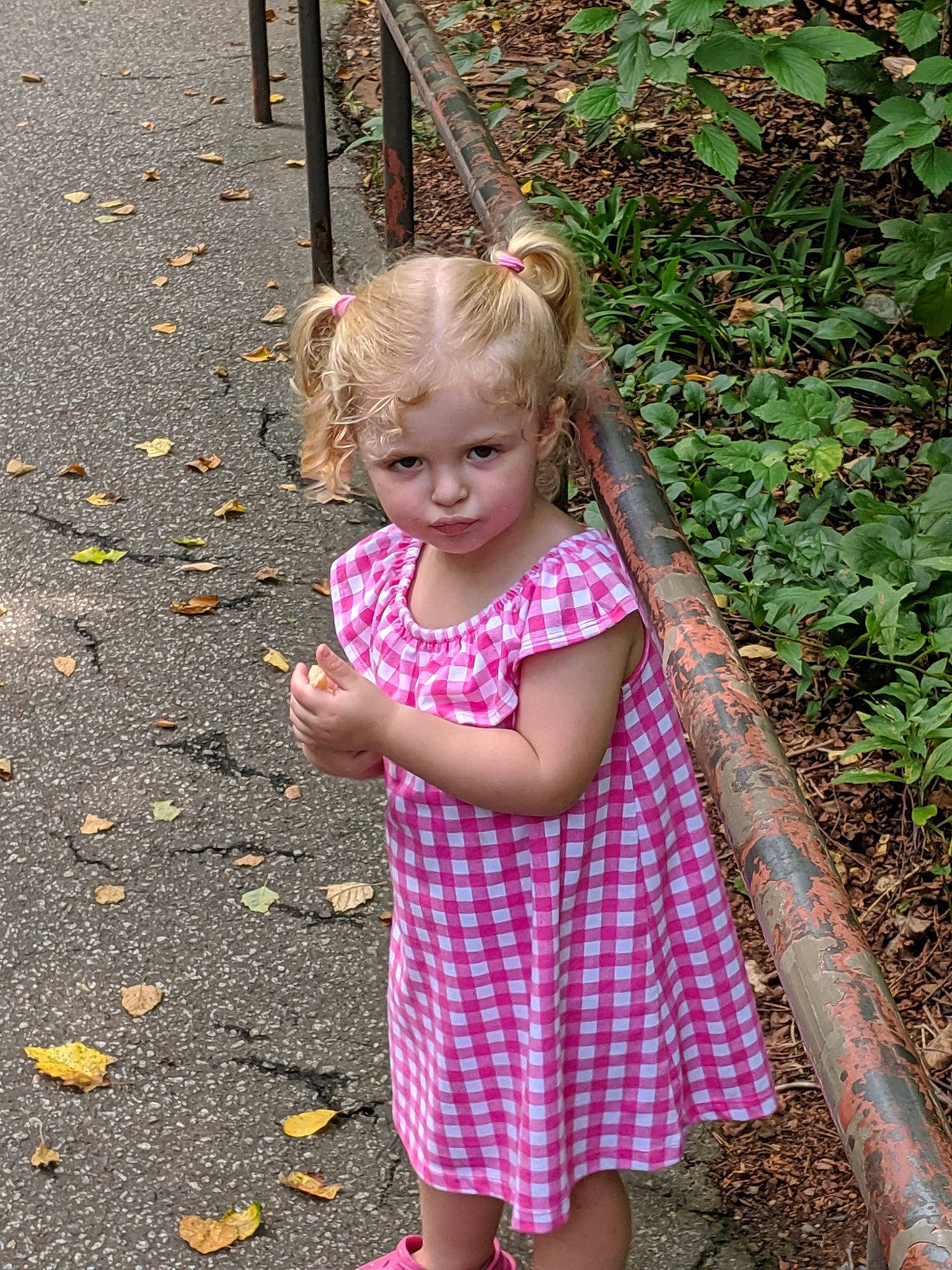 Amberly is registered to the contest to win money with this photo: blond, child, dress, fun, garden, grass, leaf, pattern, person, pink, plant, play, smile, spring, summer, toddler, tree, vacation