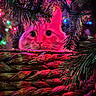 animal, basket, cat, christmas_lights, closeup, colorful_lights, curious, cute, decorations, feline, festive, greenery, holiday, indoor, ornaments, pet, pine_branches, pink_lighting, playful, whiskers
