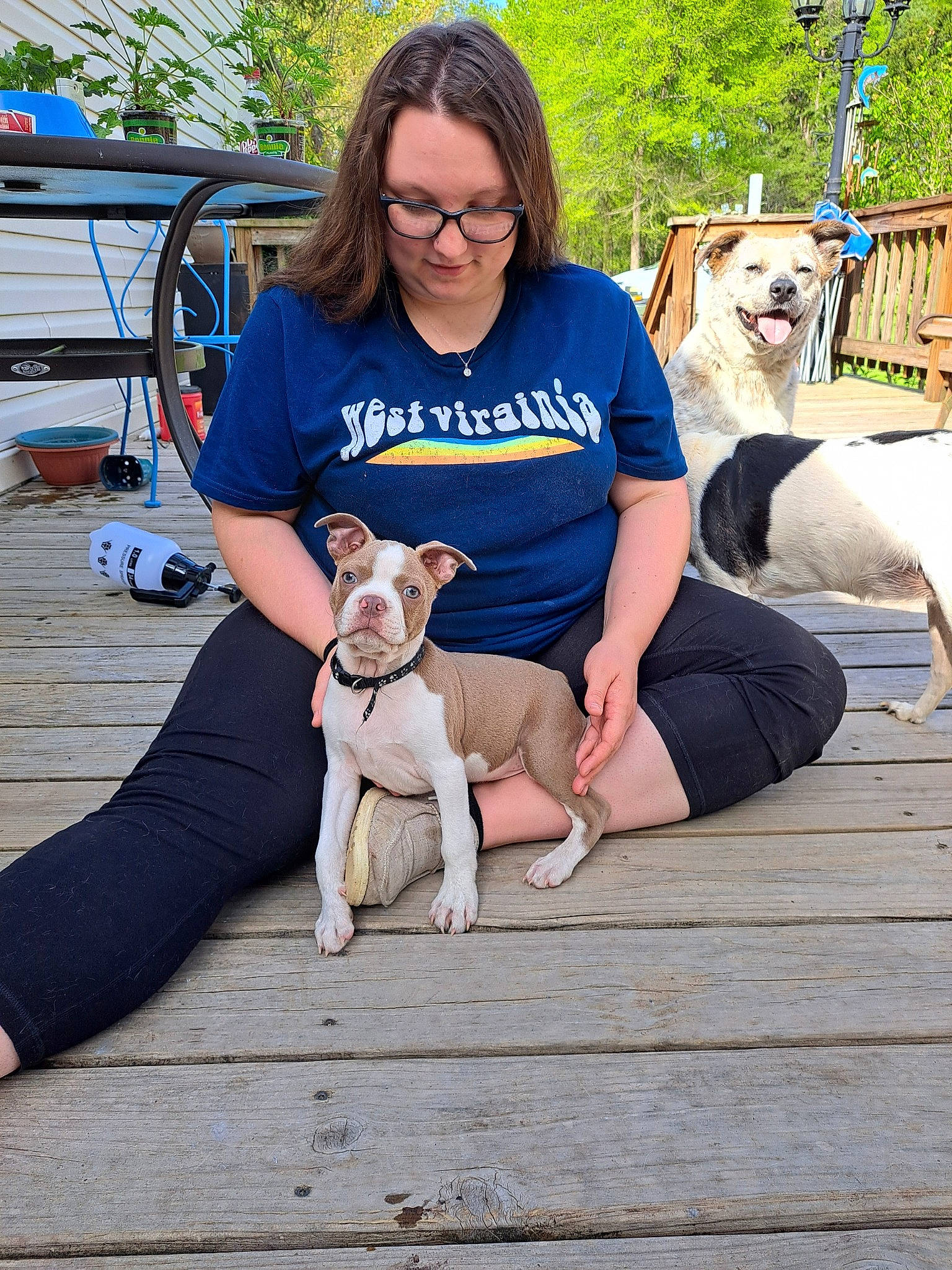 Rip joined the competition — help win amazing prizes! carnivore, companion_dog, dog, dog_breed, eyewear, fawn, happy, knee, lap, leisure, mammal, pet_supply, plant, recreation, sitting, smile, sporting_group, thigh, tree, wood