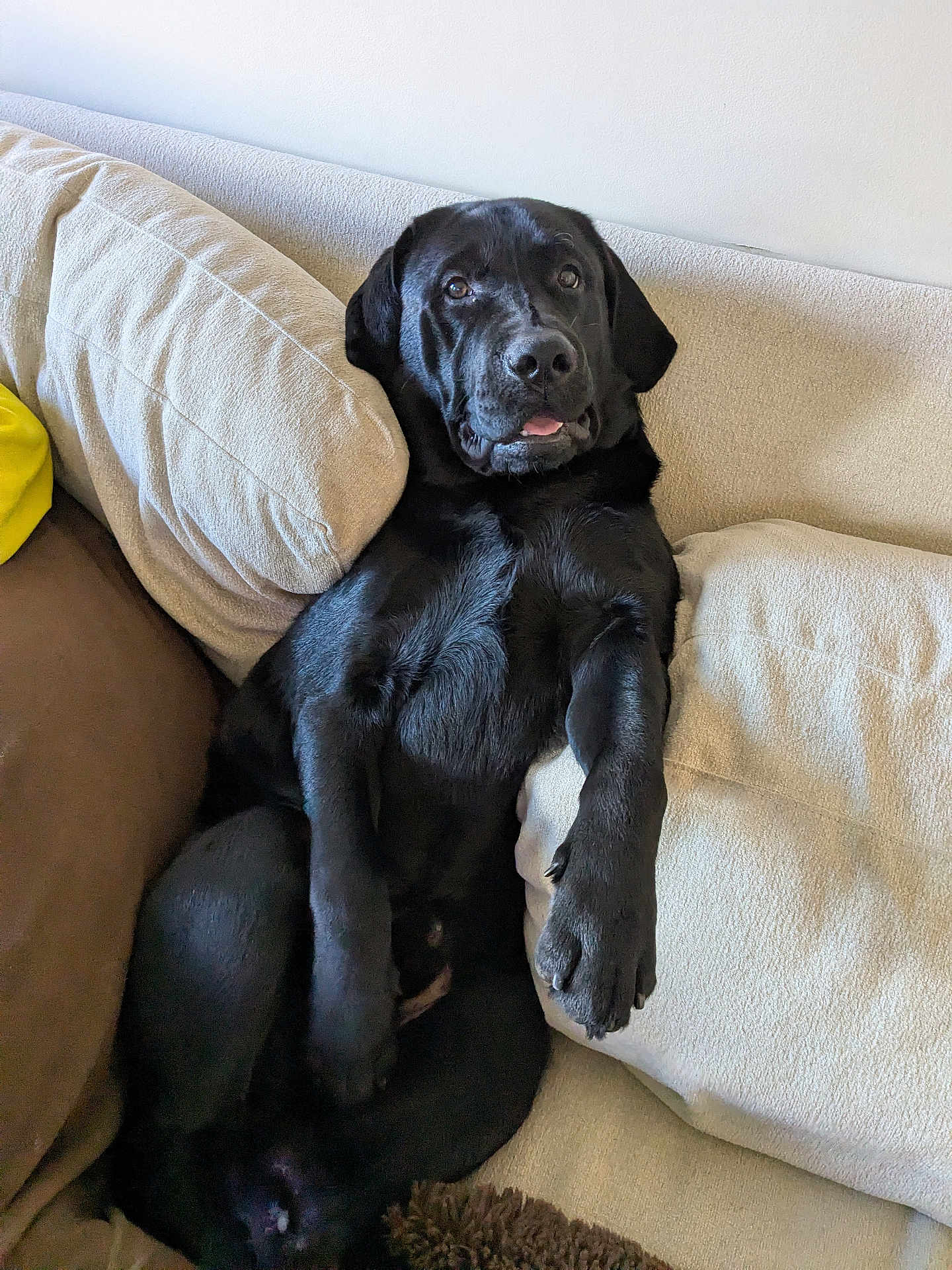 Charlie