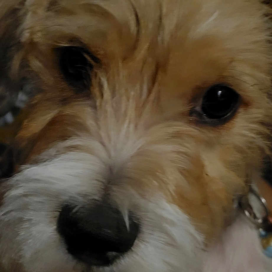 Jaxson
