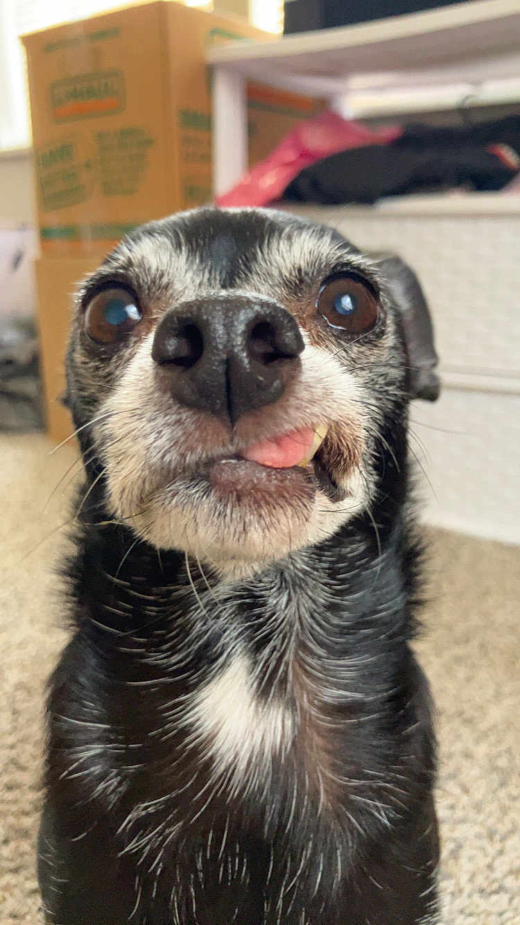 Lola