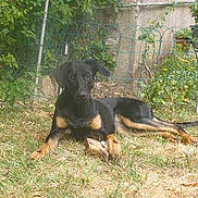 Isya participe au concours pour gagner de l'argent avec cette photo :