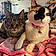 Ava And Max
