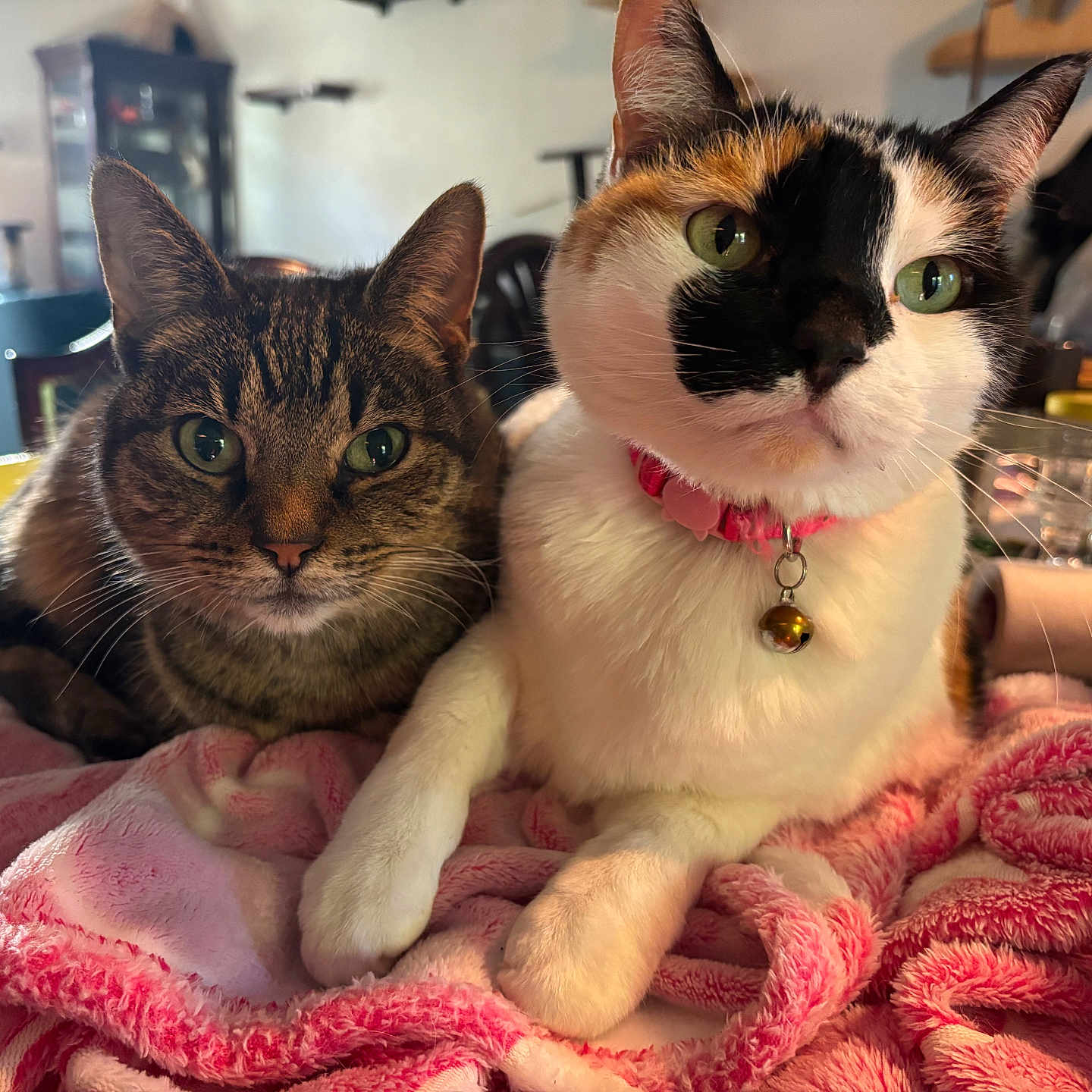 Ava And Max