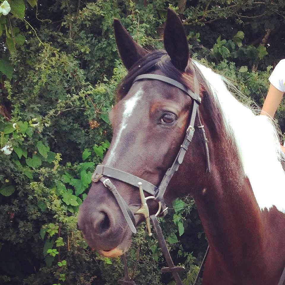 Miss Knightly is registered to the contest to win money with this photo: