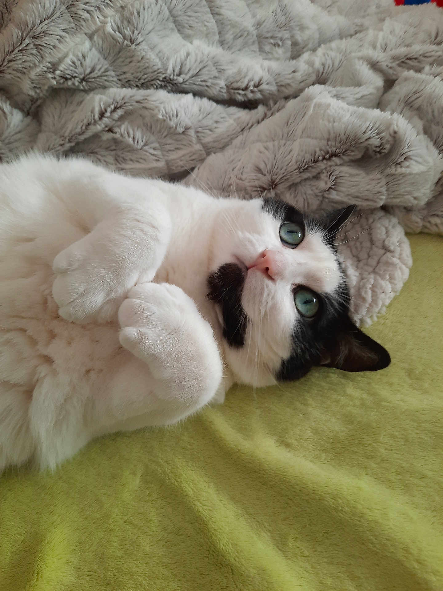 Princesse