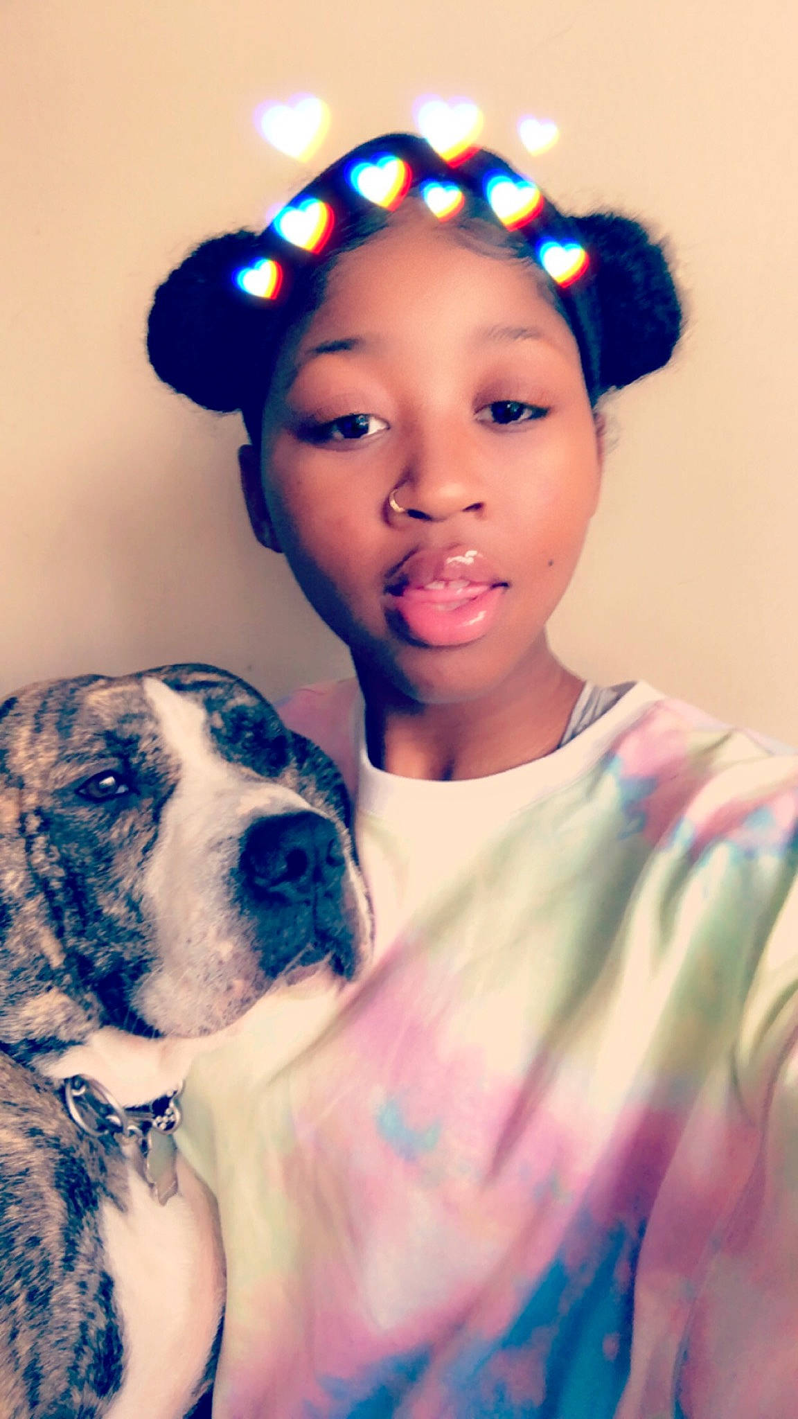 Pig joined the competition — help win amazing prizes! cap, carnivore, companion_dog, cool, dog, dog_breed, eye, eyelash, fashion_design, fawn, flash_photography, fun, happy, head, headpiece, human_body, jewellery, snout, sporting_group, whiskers