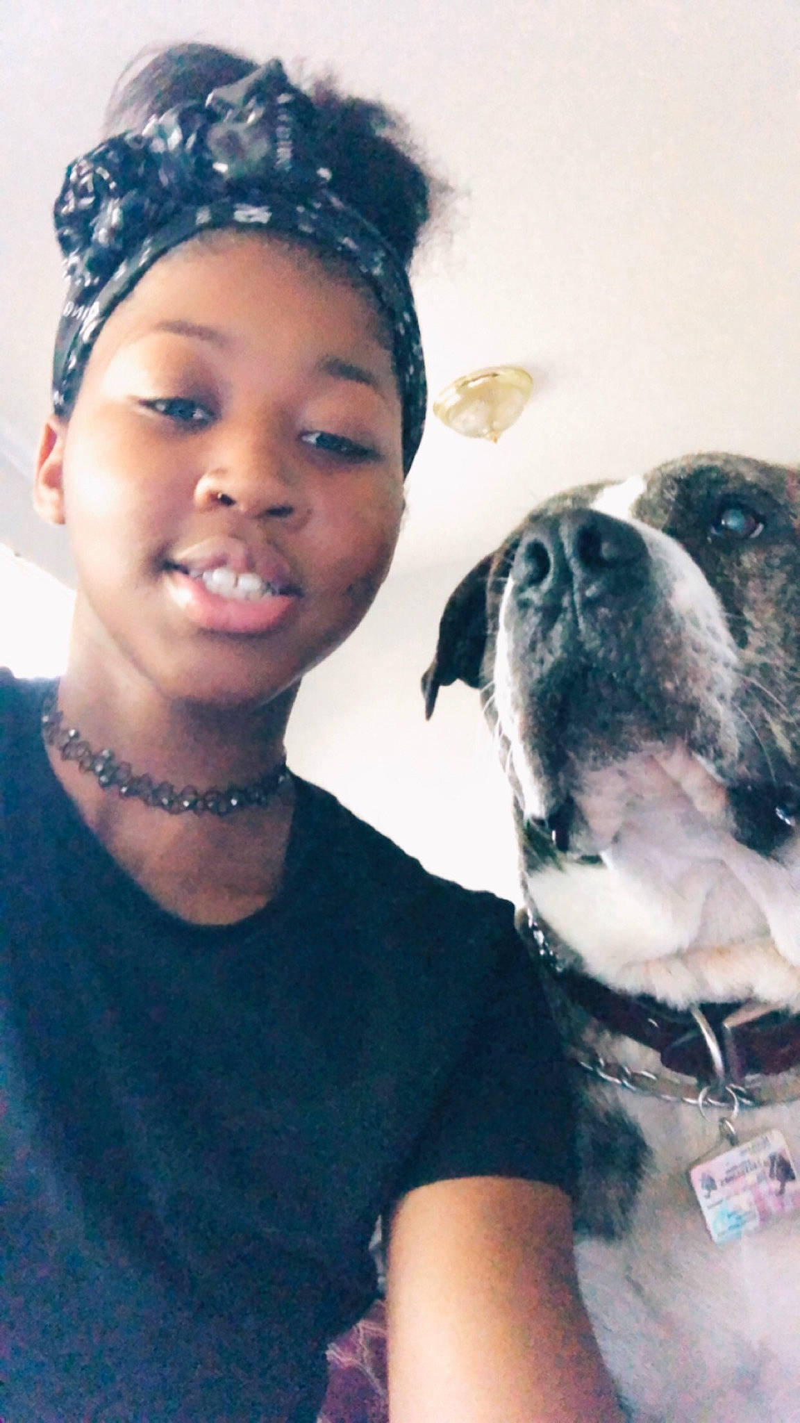 Pig is registered to the contest to win money with this photo: black_hair, body_jewelry, carnivore, companion_dog, cool, dog, dog_breed, earrings, eye, eyebrow, eyelash, fawn, flash_photography, hair, happy, head, lip, makeover, shoulder, skin